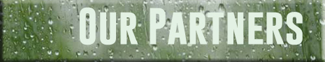 Our Partners