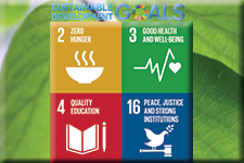 Caribbean American Heritage Foundation of Texas Sustainable Goals